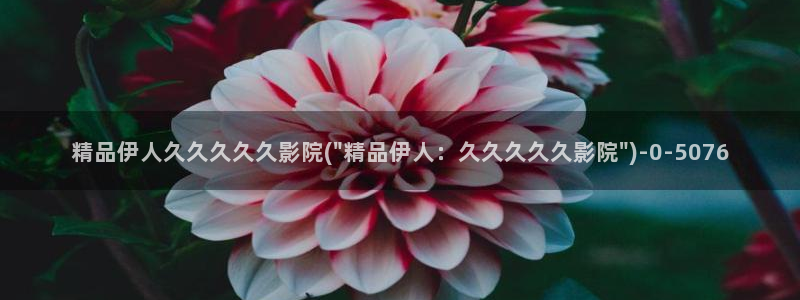 韩国伊人香煮网视频：精品伊人久久久久久影院(\