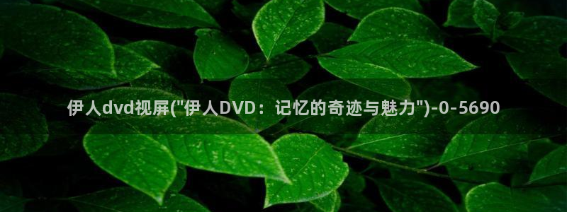 伊人网全网视频盛宴：伊人dvd视屏(\