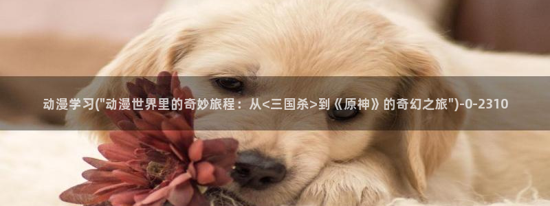 死神动漫