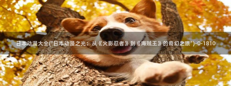 同人动漫